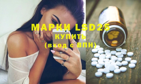 PSILOCYBIN Михайлов