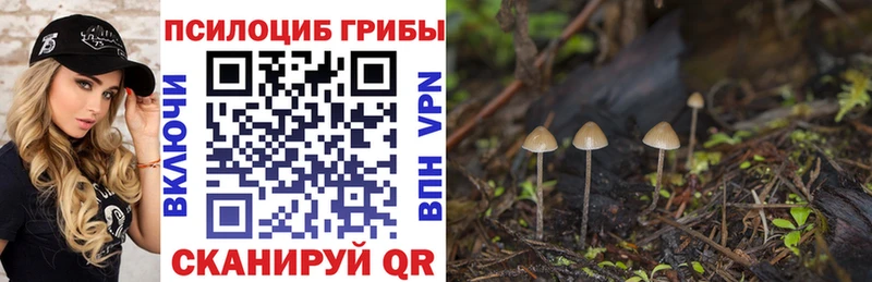 даркнет сайт  Калининград  Галлюциногенные грибы GOLDEN TEACHER 